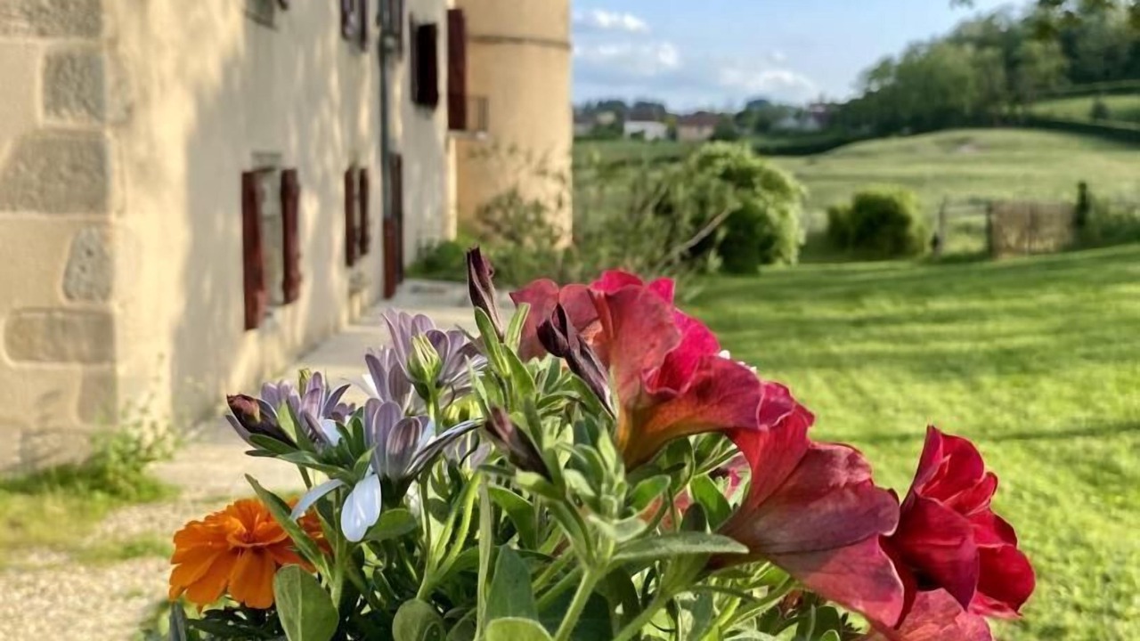 Photo of Outdoor in Sivignon