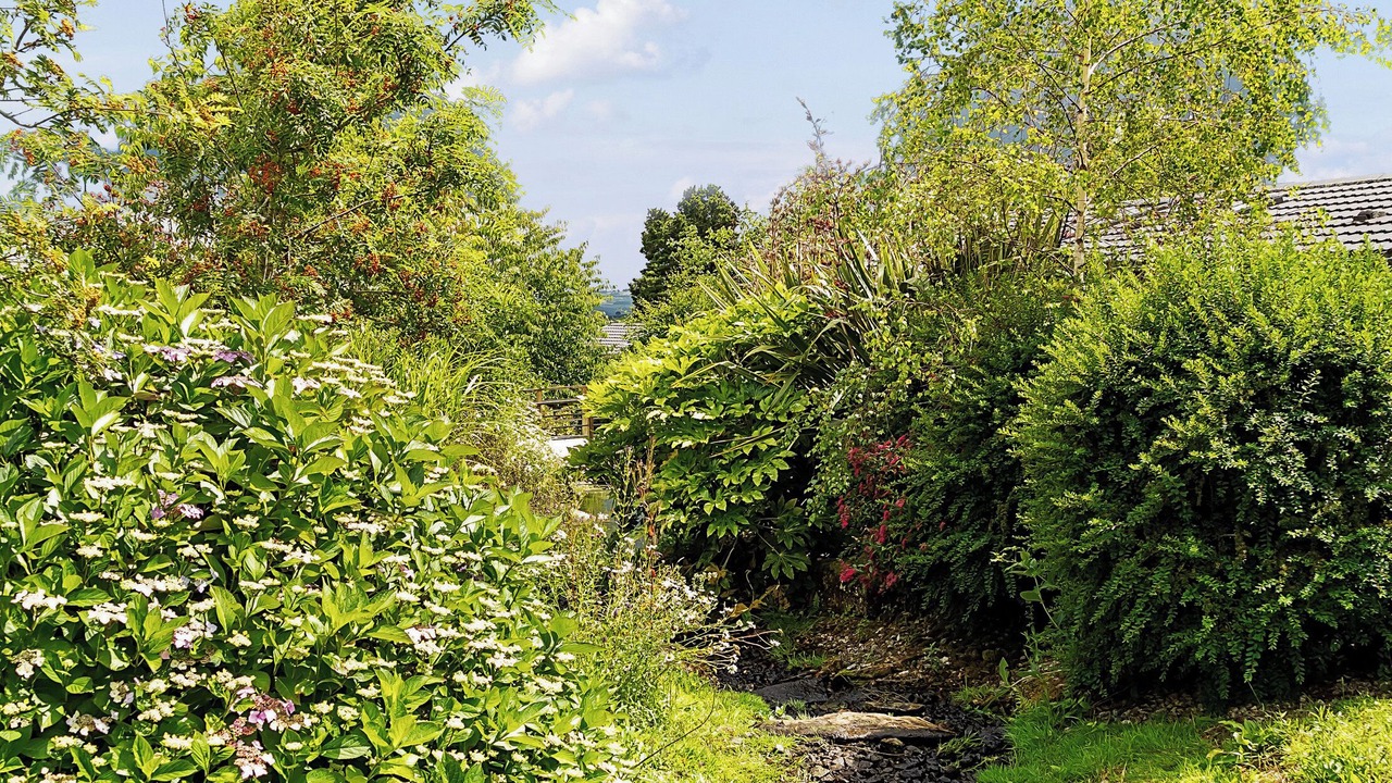 Photo of Outdoor in Dobwalls