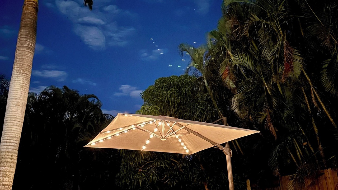 Photo of Outdoor in Sarasota