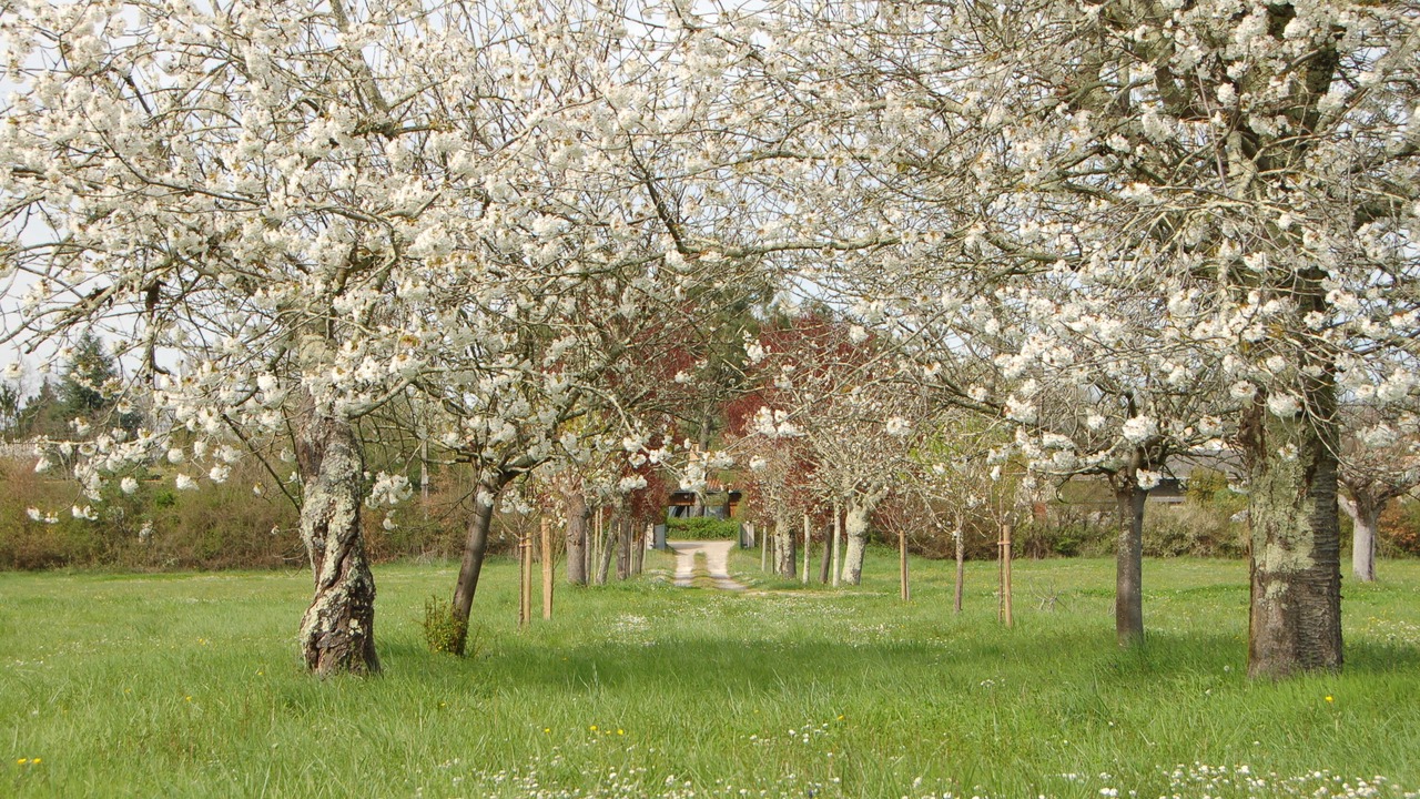 Photo of Outdoor in Camblanes-et-Meynac
