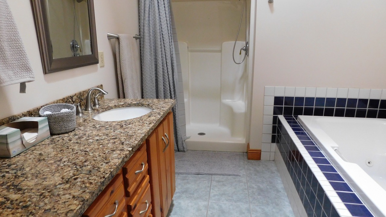 Photo of Bathroom in Birch Run Township