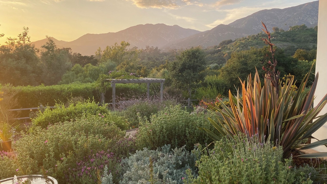 Photo of Outdoor in Toro Canyon