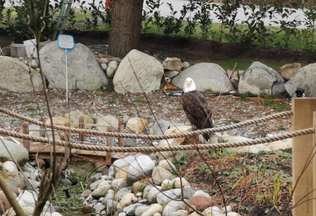 Photo of Others in West Vancouver
