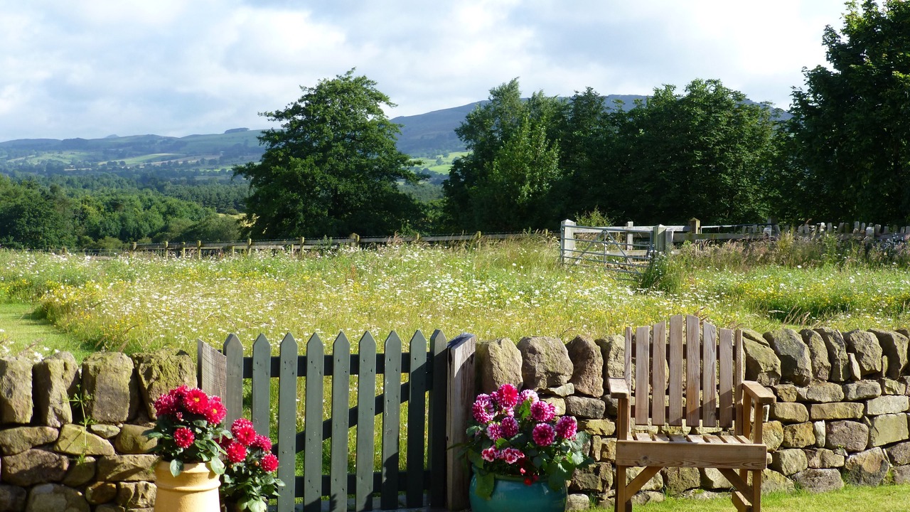 Photo of Outdoor in Leek