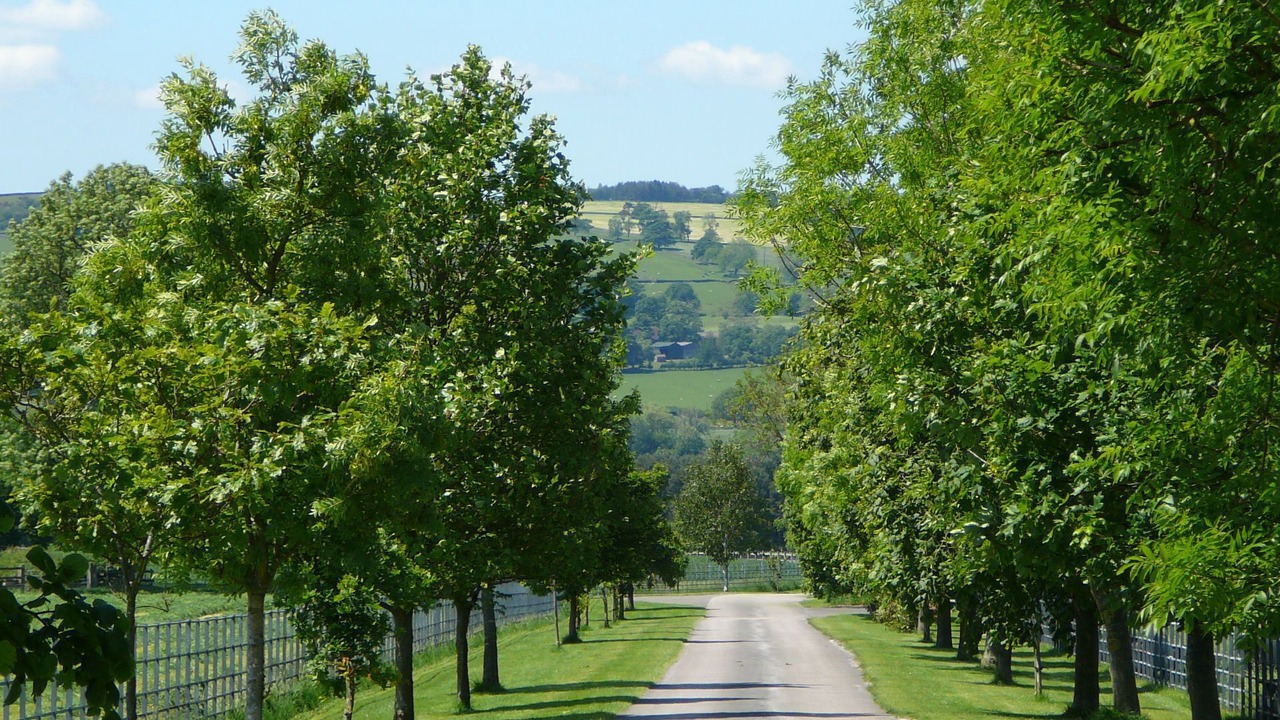 Photo of Outdoor in Leek
