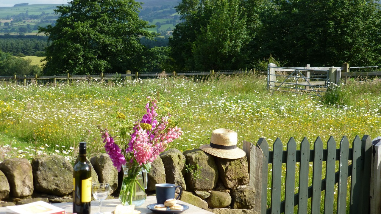 Photo of Outdoor in Leek