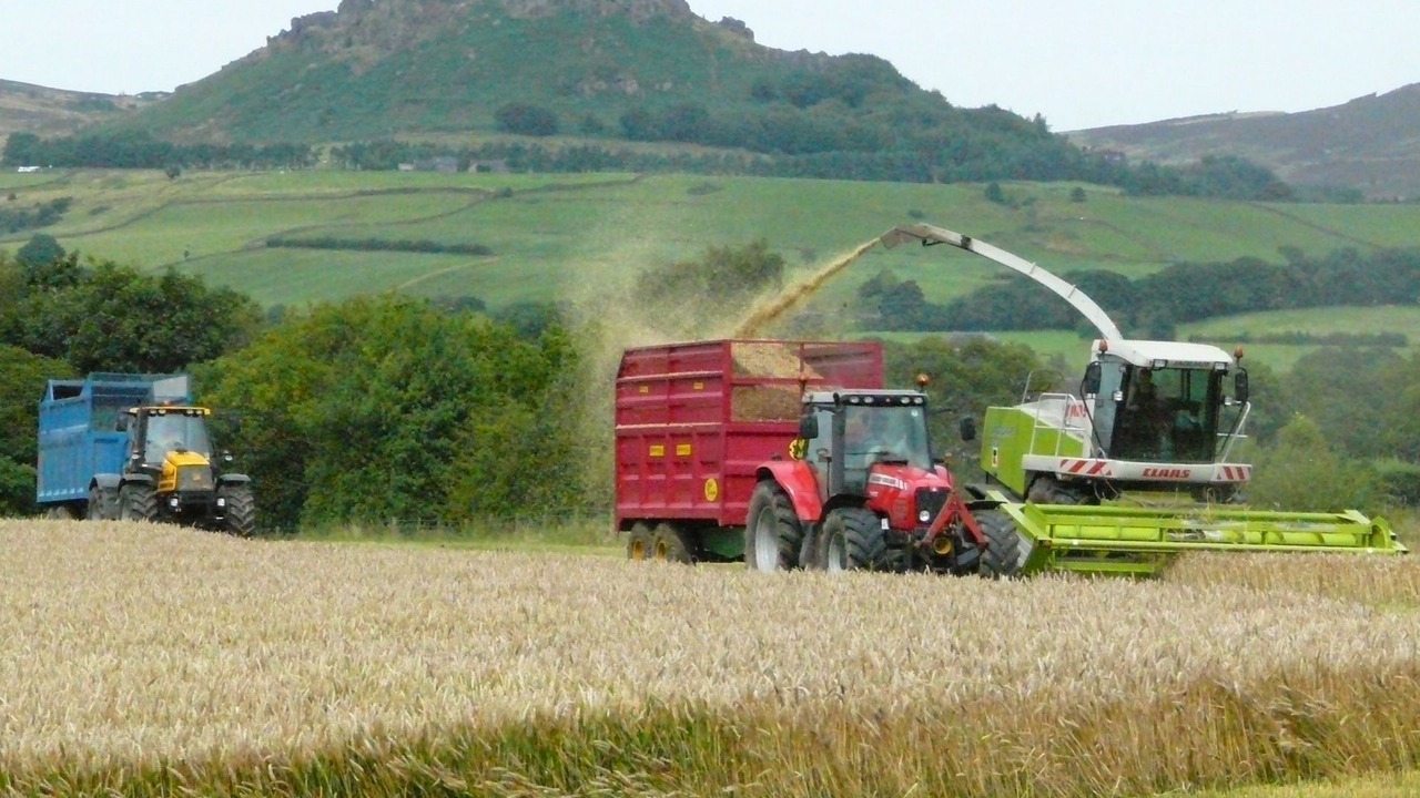 Photo of Others in Leek