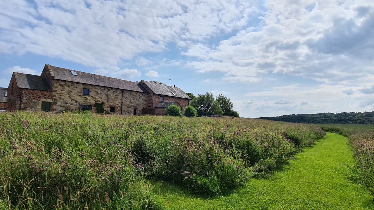 Photo of Outdoor in Leek