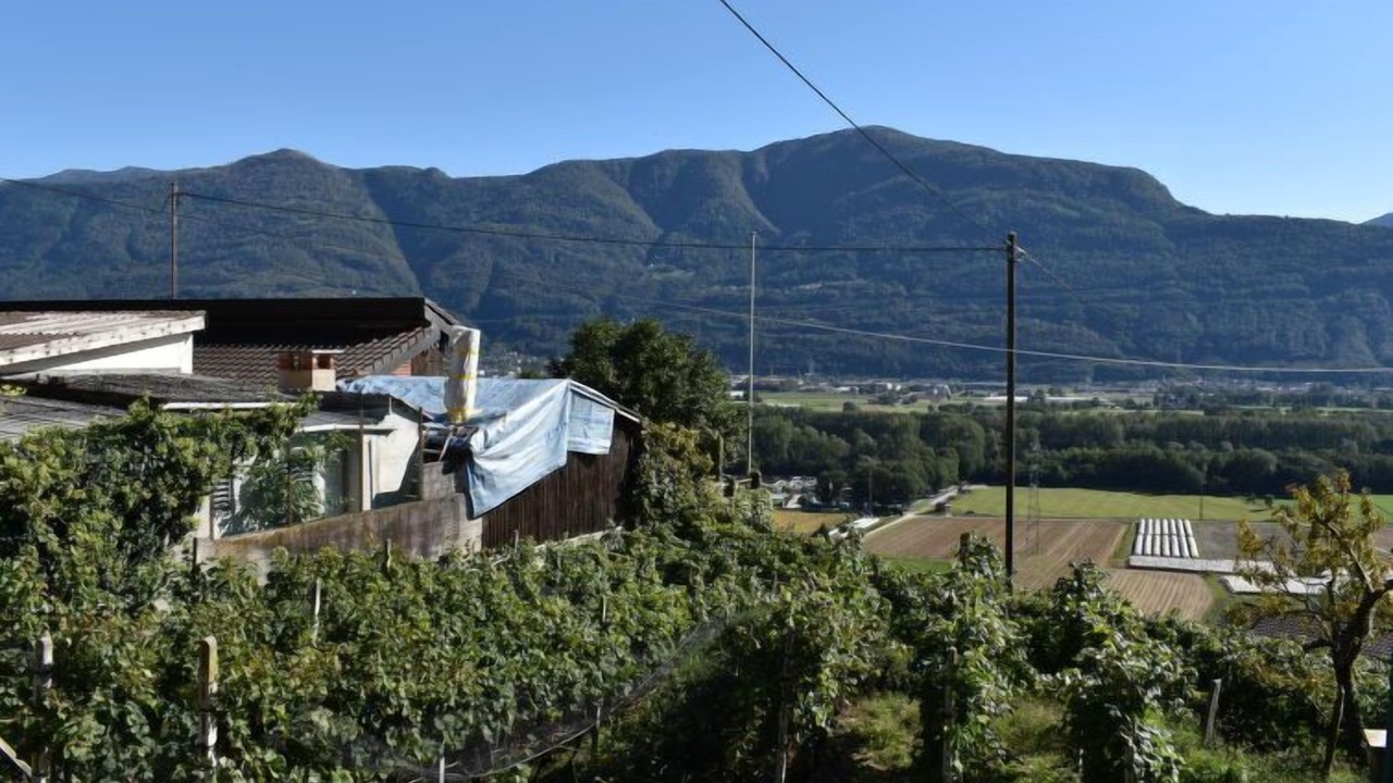 Photo of Others in Riazzino