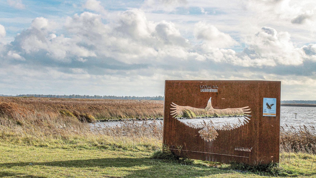 Photo of Others in Lauwersoog