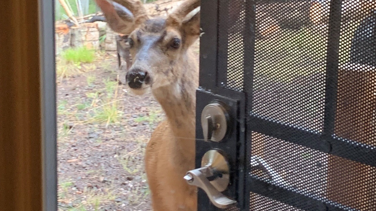 Photo of Others in Mammoth Creek