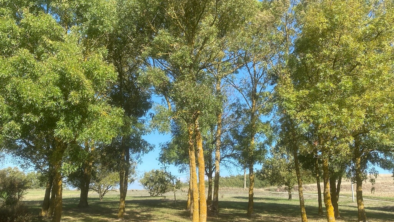 Photo of Outdoor in Fanjeaux