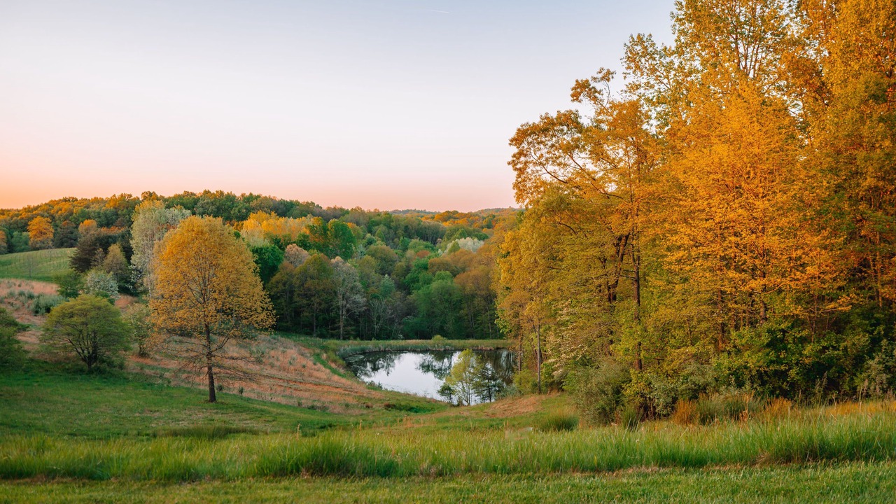 Photo of Outdoor in Creola