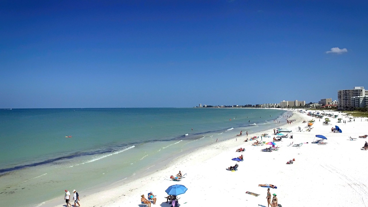 Photo of Others in Sarasota