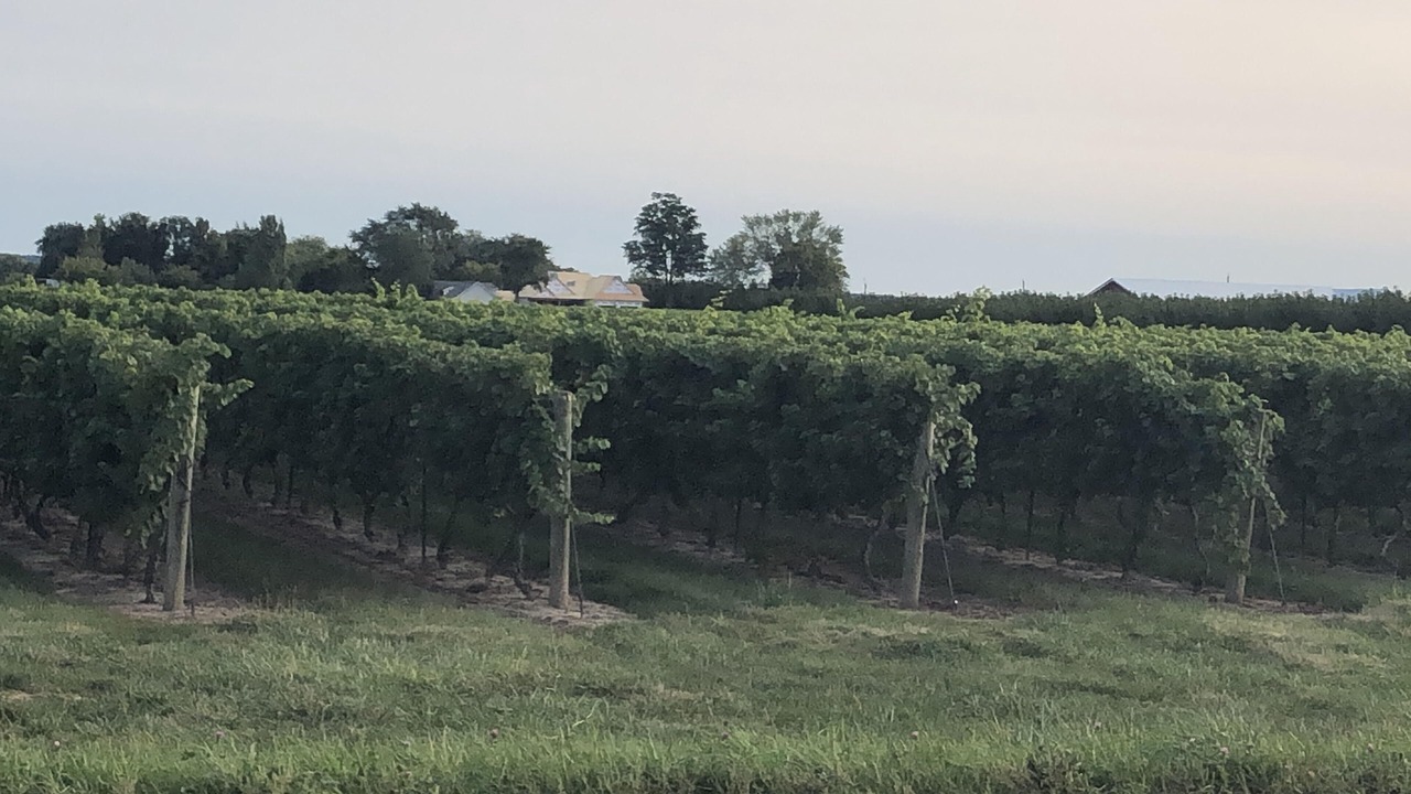Photo of Outdoor in Niagara-on-the-Lake