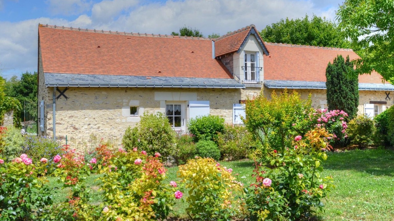 Photo of Outdoor in Drache