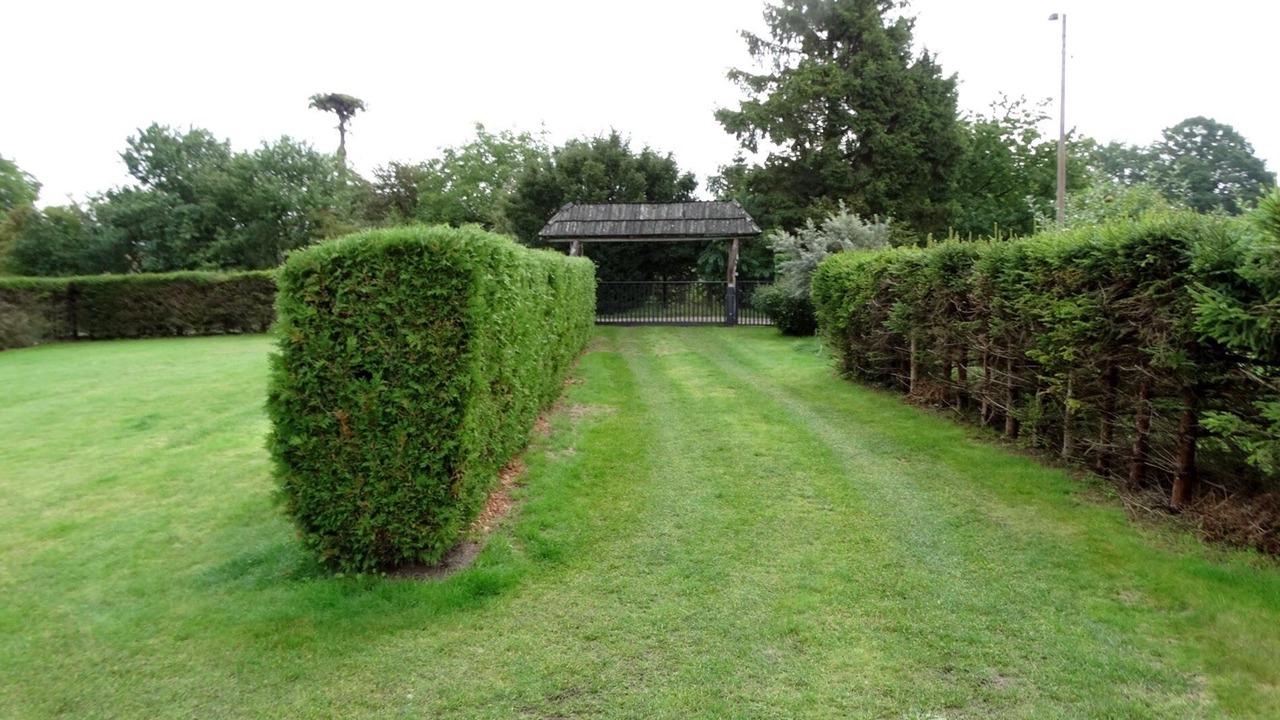Photo of Outdoor in Kopalino