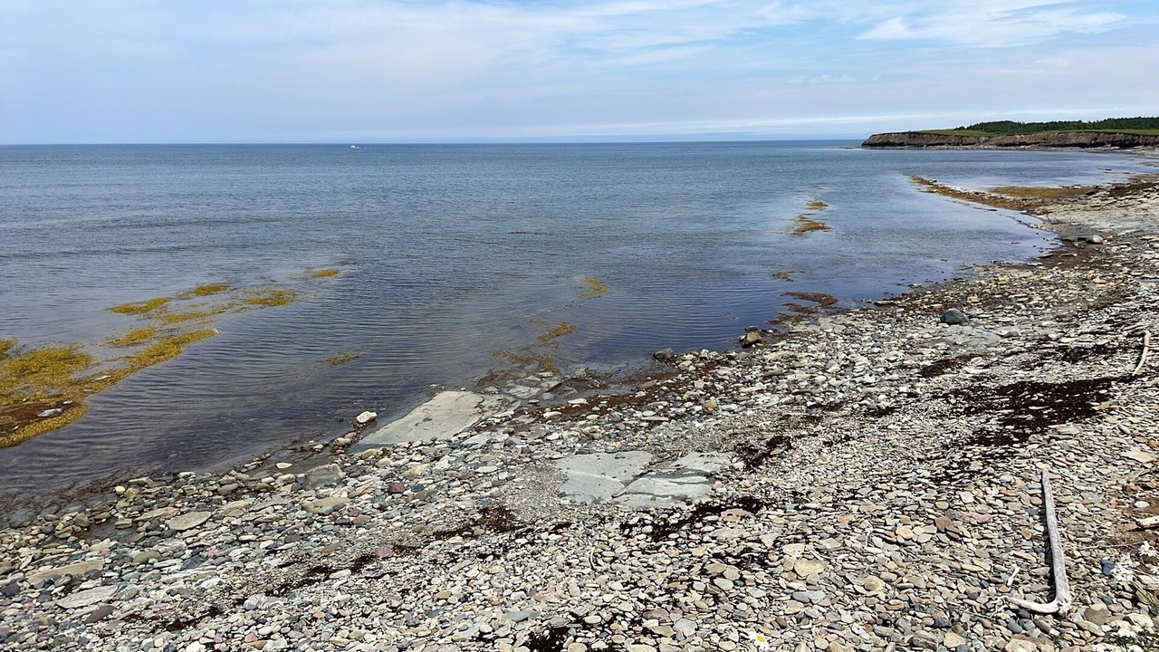 Photo of Others in Cape Breton Regional Municipality