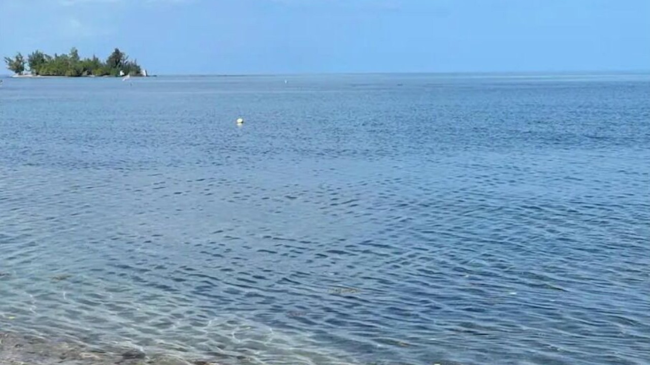 Photo of Others in Cabo Rojo