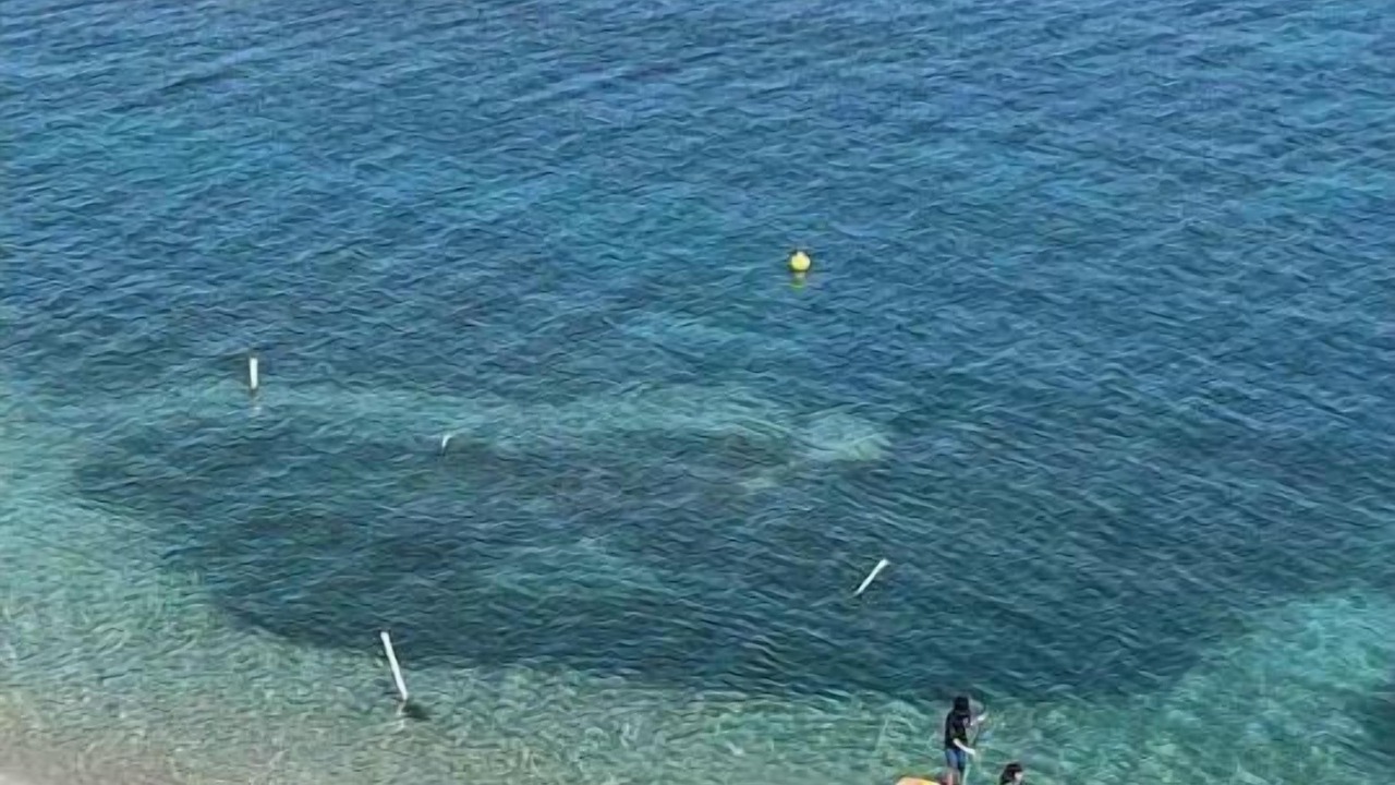 Photo of Others in Cabo Rojo