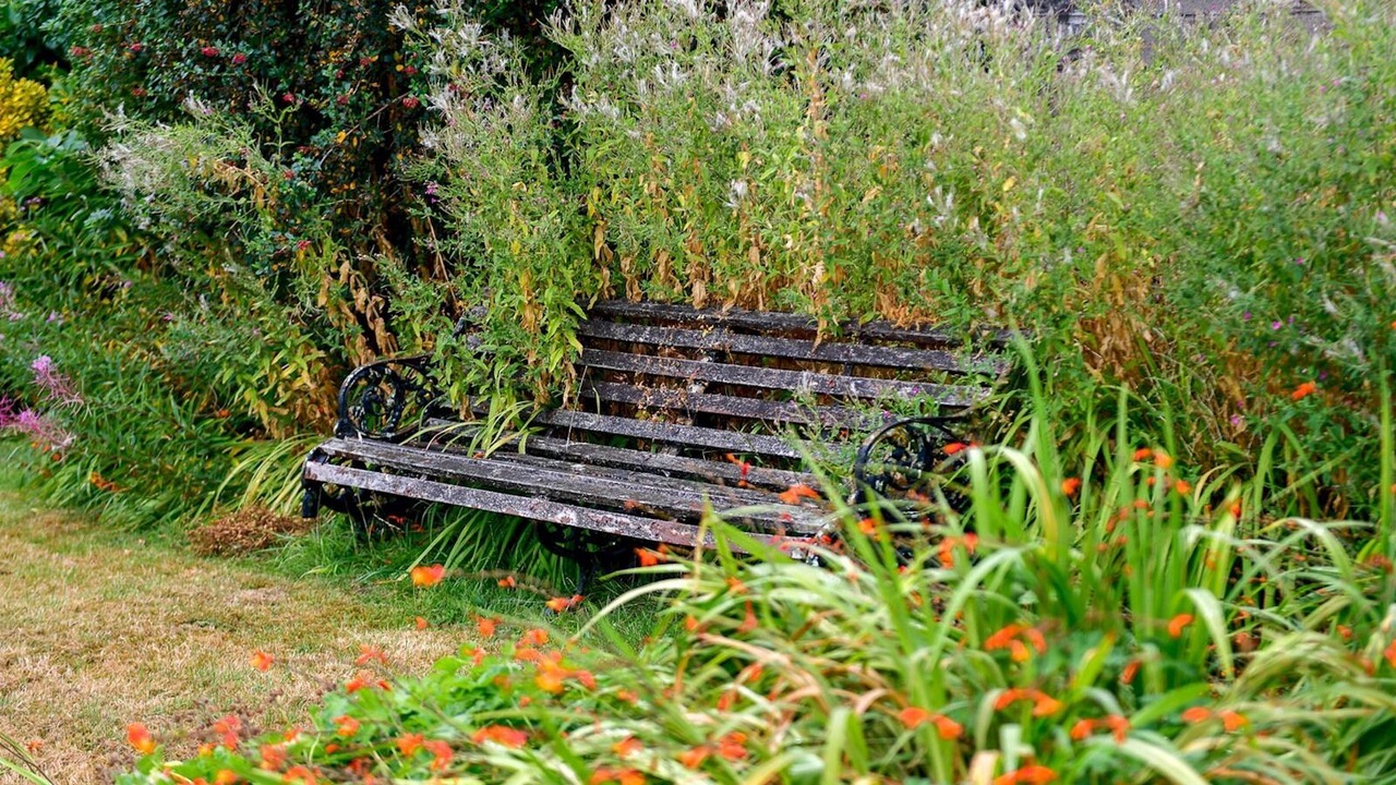 Photo of Outdoor in Barry