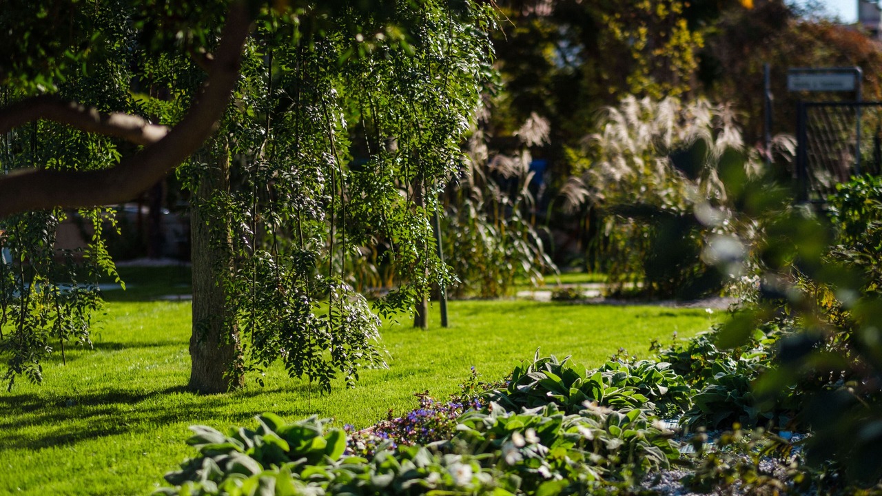 Photo of Outdoor in Santa Maria in Stelle