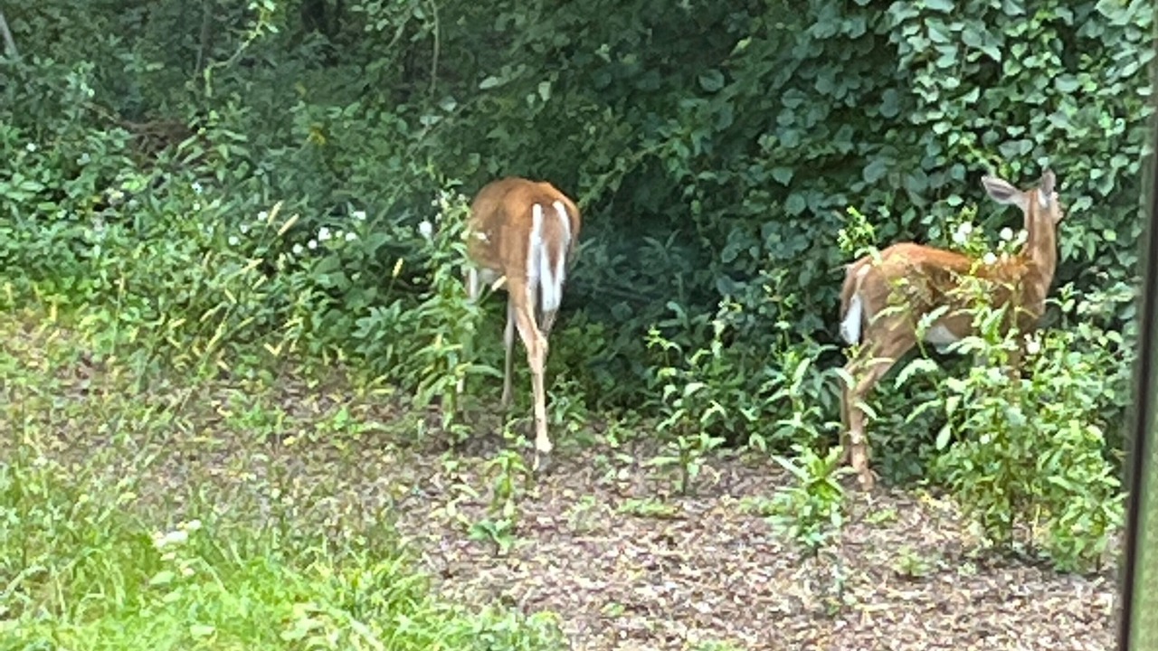 Photo of Outdoor in Wisconsin Rapids