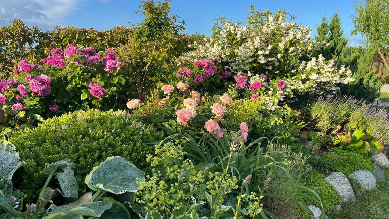Photo of Outdoor in Gaski