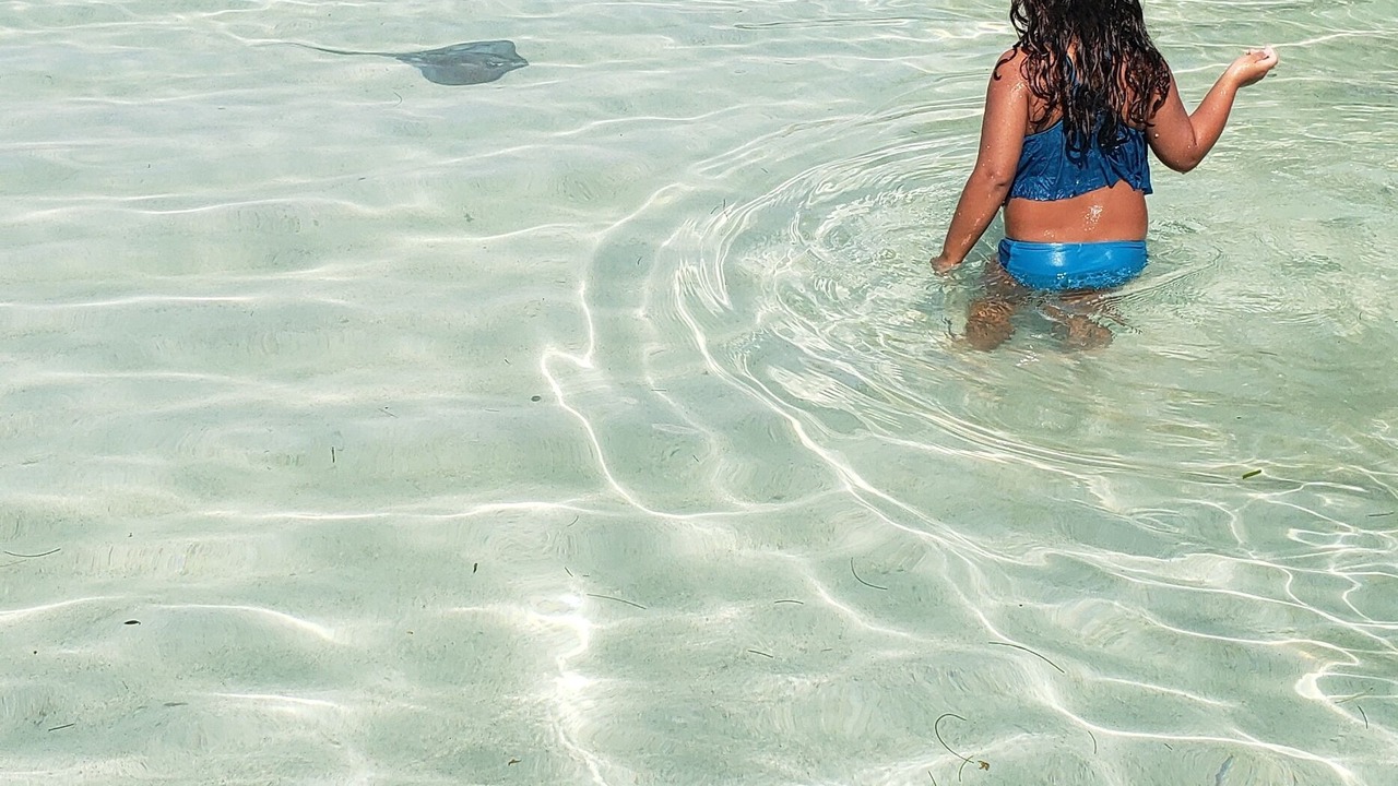 Photo of Others in La Parguera