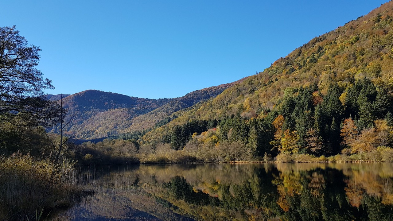 Photo of Outdoor in Sewen