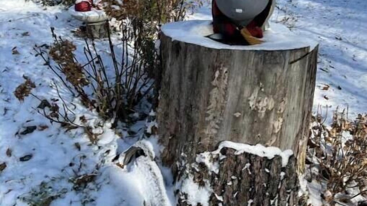 Photo of Others in Muskoka Lakes