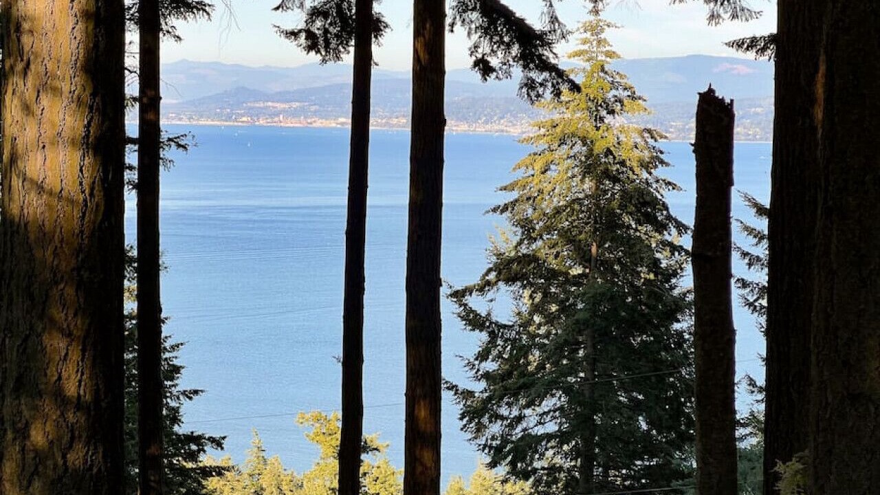 Photo of Others in Lummi Island