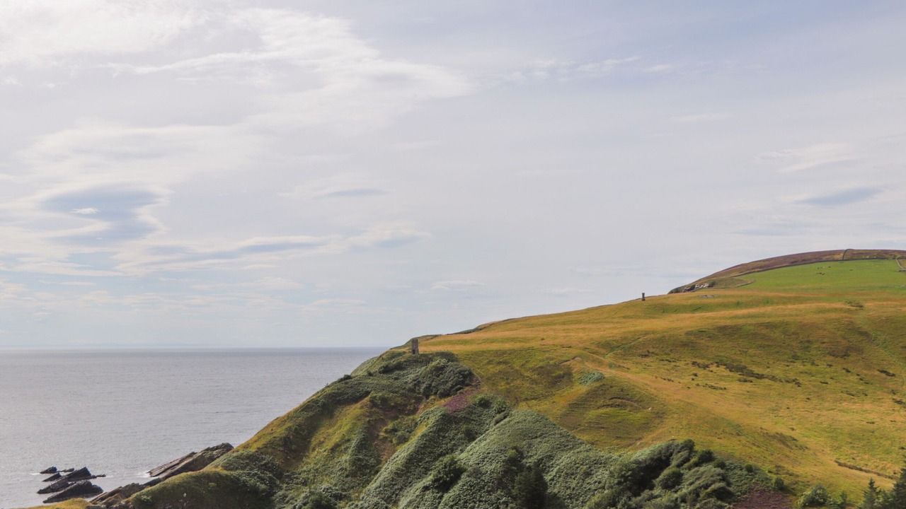 Photo of Others in Berriedale