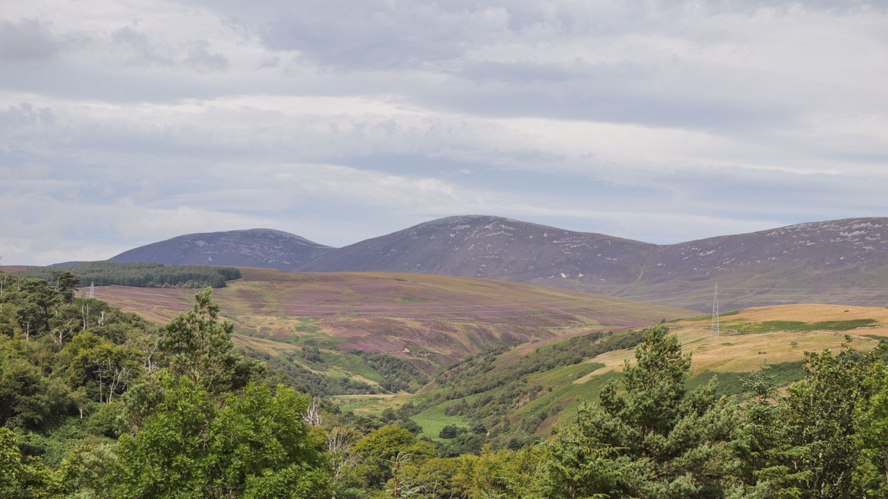 Photo of Others in Berriedale