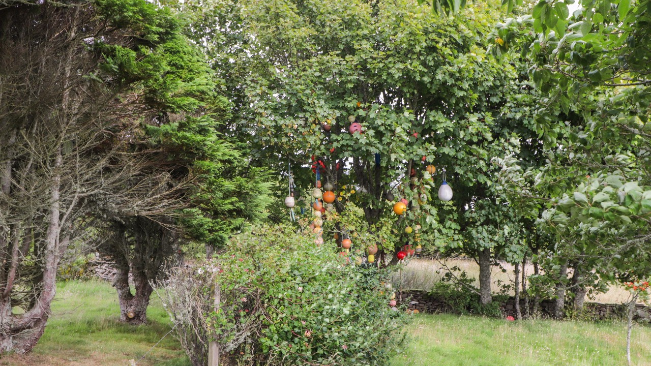 Photo of Outdoor in Berriedale