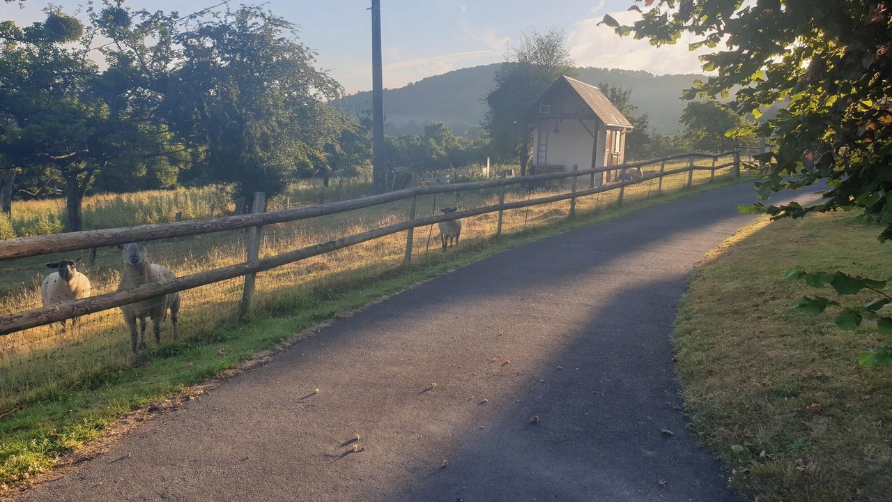 Photo of Outdoor in Saint-Remy