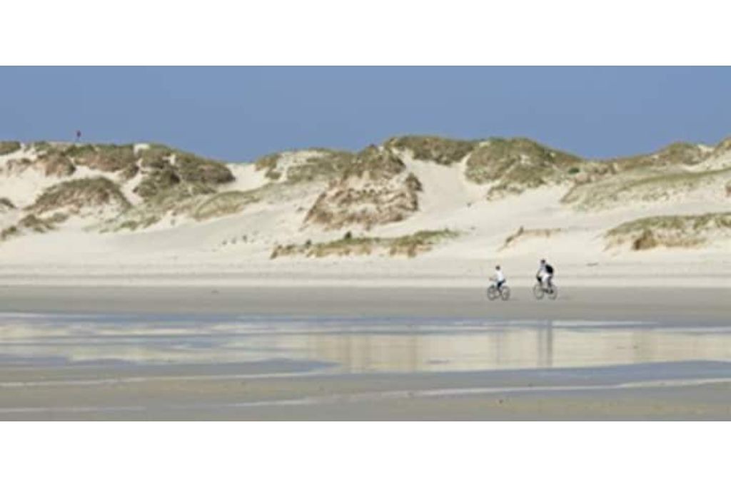 Photo of Others in Locoal-Mendon