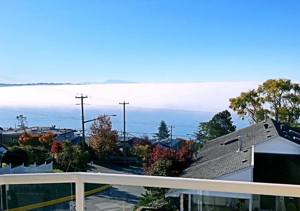 Photo of Outdoor in White Rock