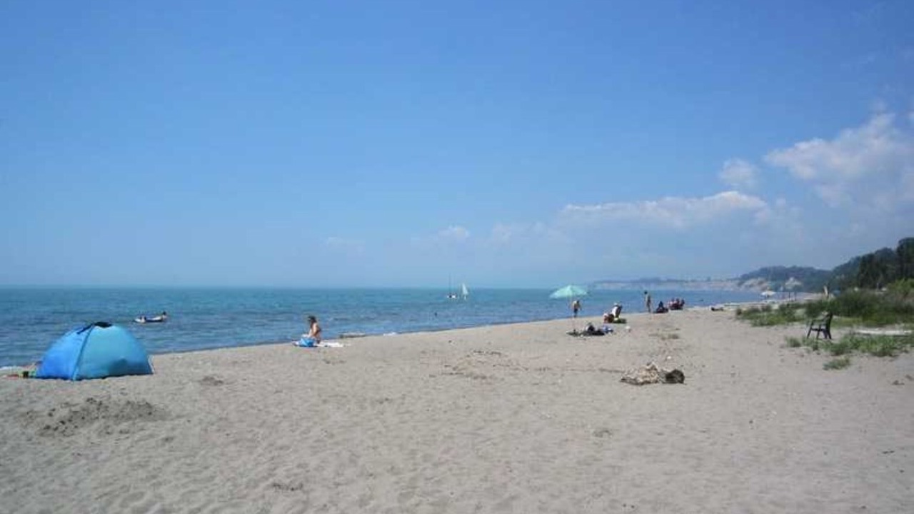 Photo of Others in Port Stanley
