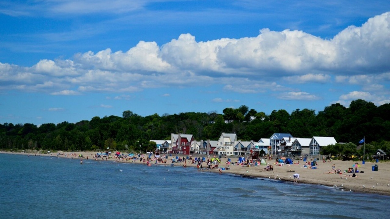 Photo of Others in Port Stanley