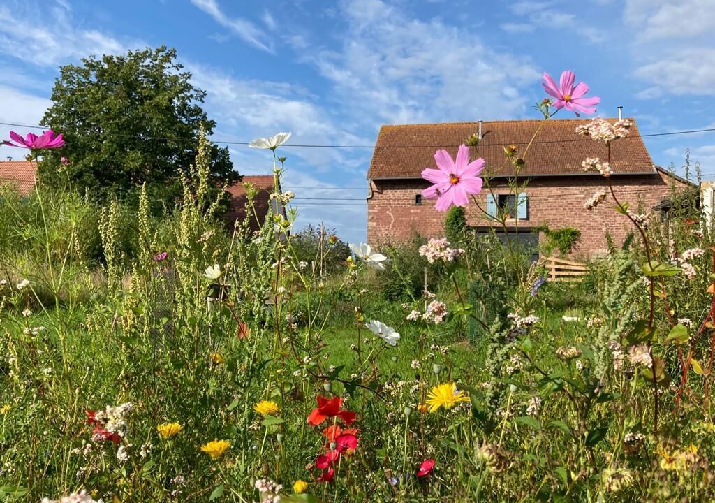Photo of Outdoor in Phalsbourg