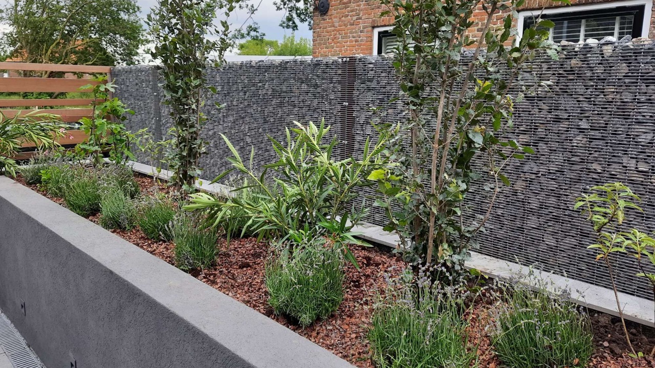 Photo of Outdoor in Groede