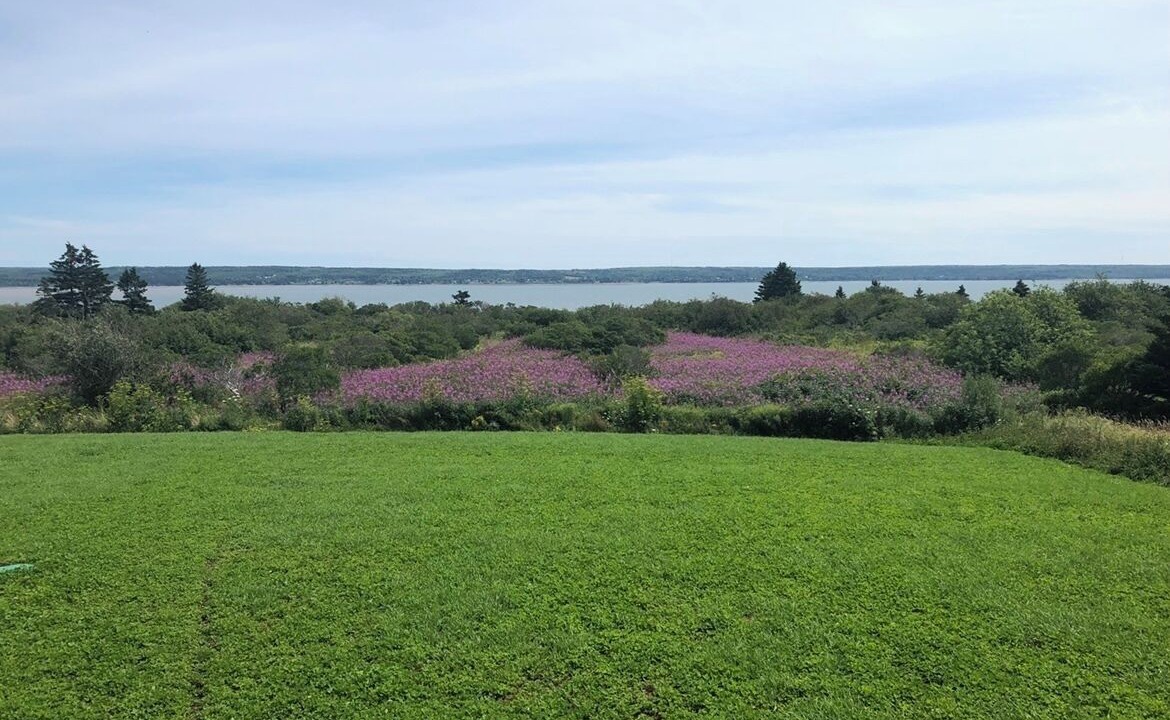 Photo of Outdoor in Digby County