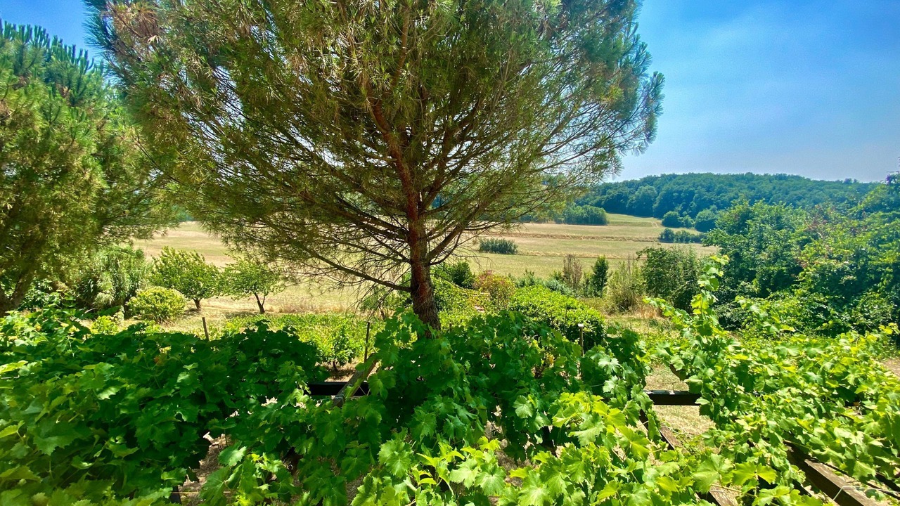 Photo of Outdoor in Lignairolles