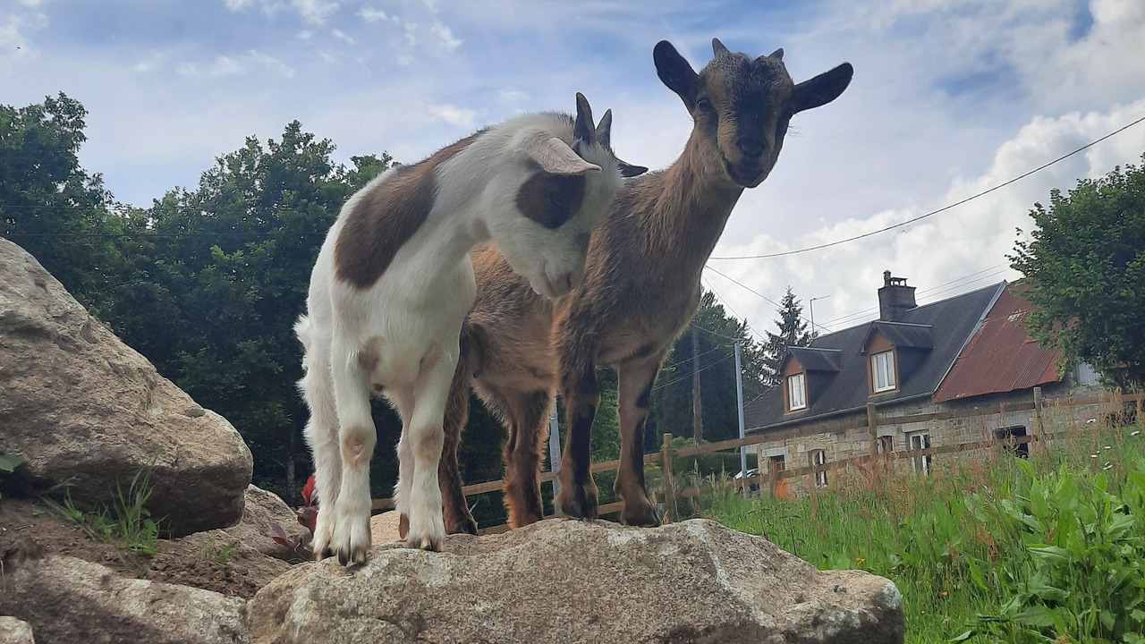 Photo of Outdoor in Le Gast