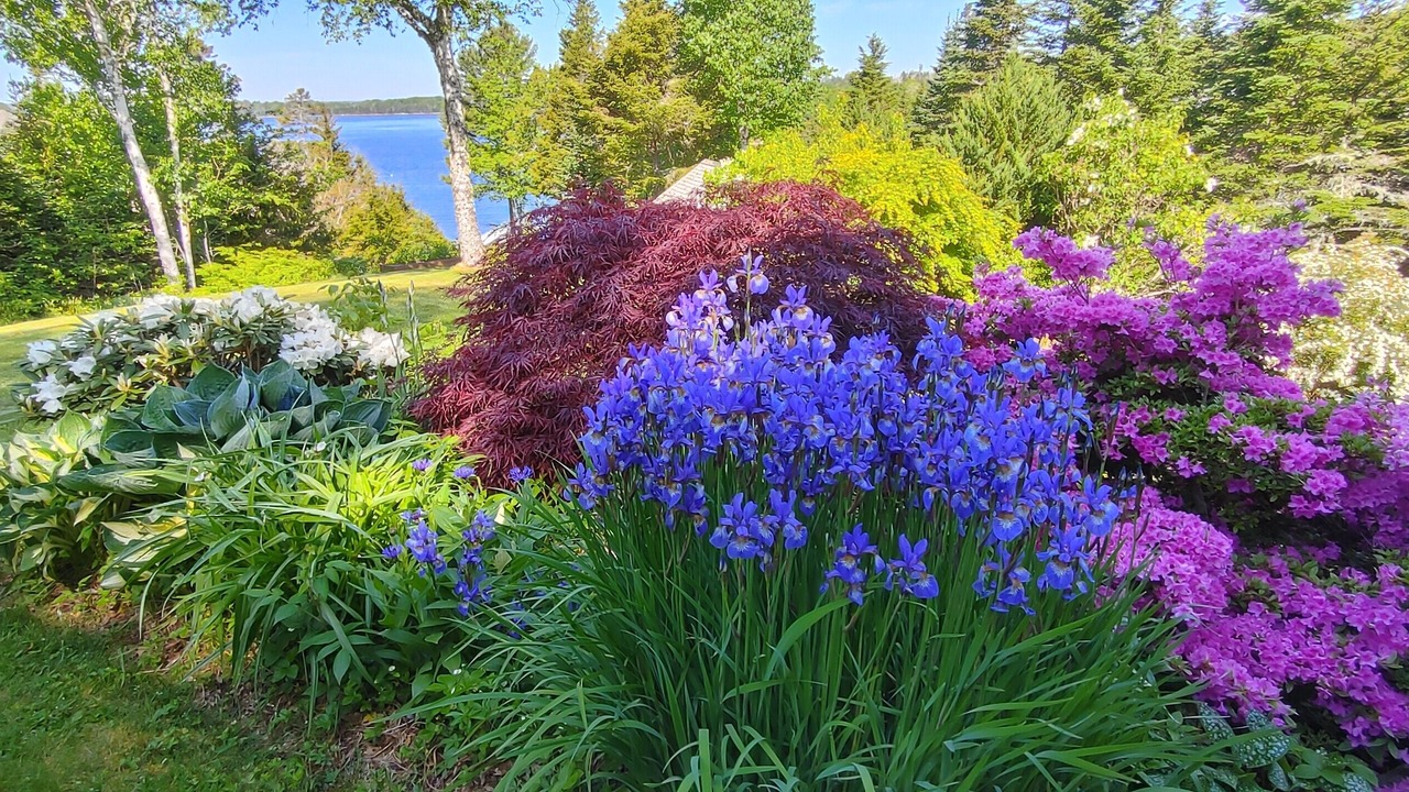 Photo of Outdoor in Glen Margaret