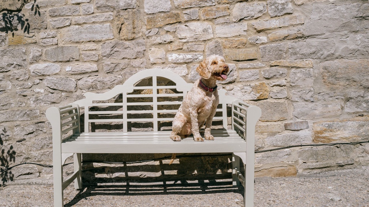 Photo of Outdoor in Middleham