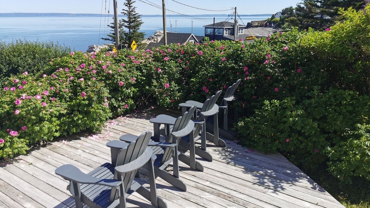 Photo of Outdoor in Hall's Harbour