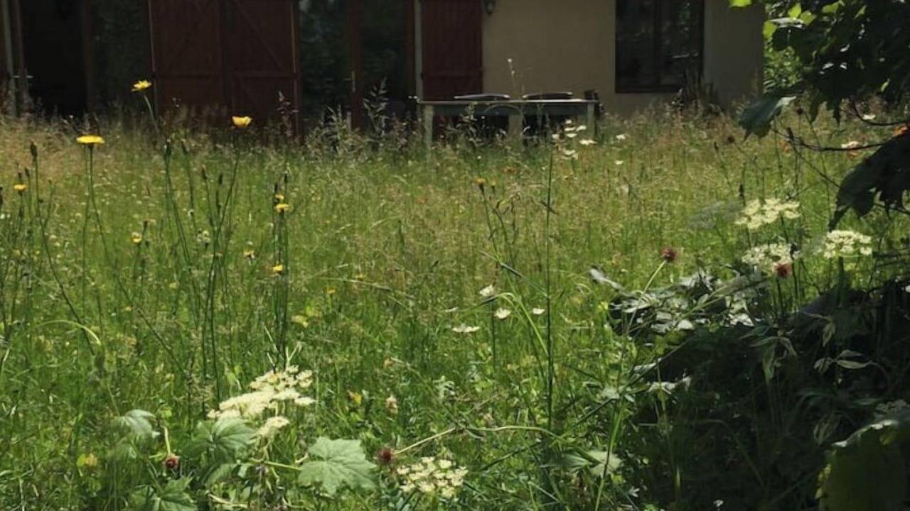 Photo of Outdoor in Bard-le-Regulier