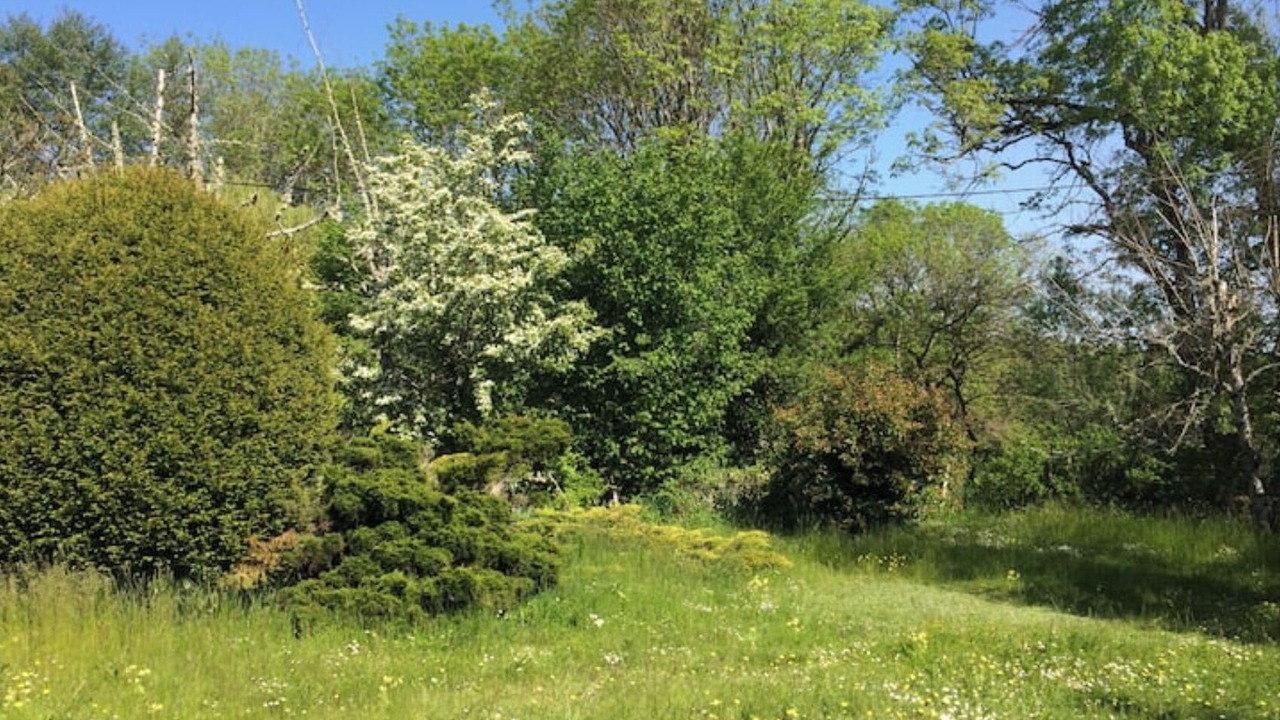 Photo of Outdoor in Bard-le-Regulier